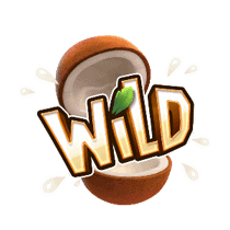 Jungle Delight - wild