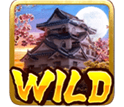NINJA vs SAMURAI - wild